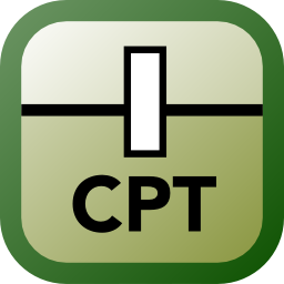 Свая CPT